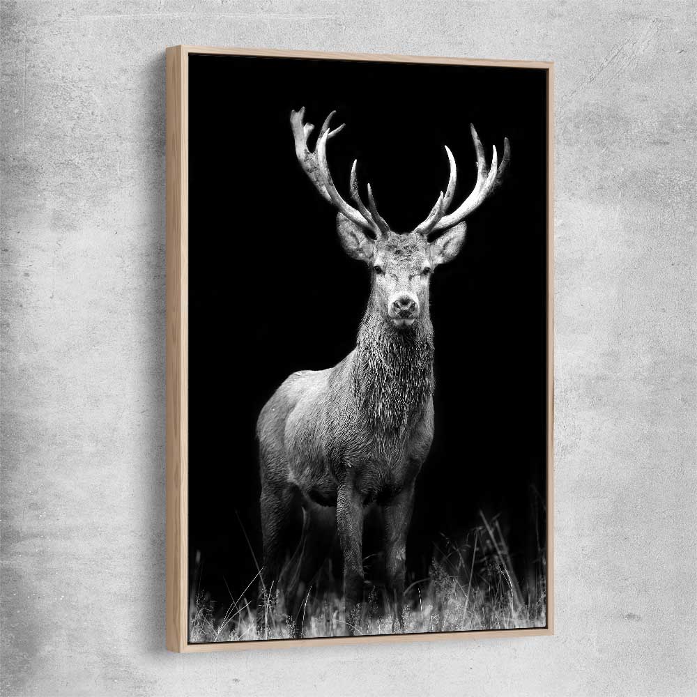 Animal wall art and canvas prints of Red Deer Gaze with raw oak framed canvas