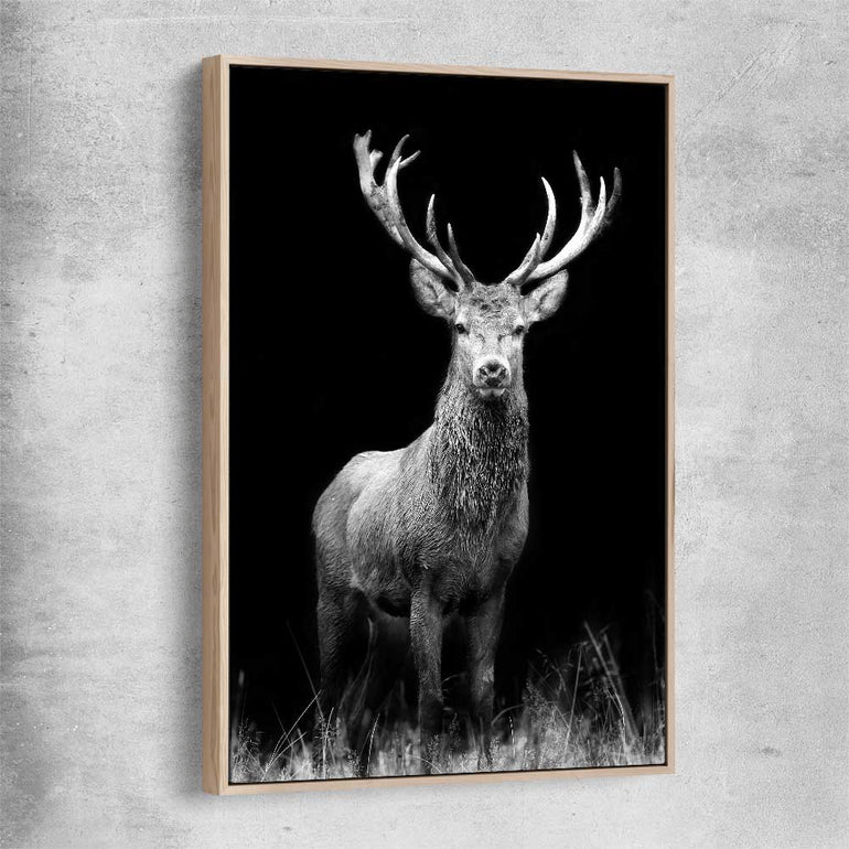 Animal wall art and canvas prints of Red Deer Gaze with raw oak framed canvas
