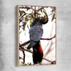 Animal wall art and canvas prints of Red Tail Cockatoo with raw oak framed canvas