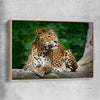 Animal wall art and canvas prints of Resting Leopard with raw oak framed canvas