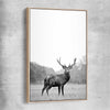 Animal wall art and canvas prints of Roaming Deer with raw oak framed canvas
