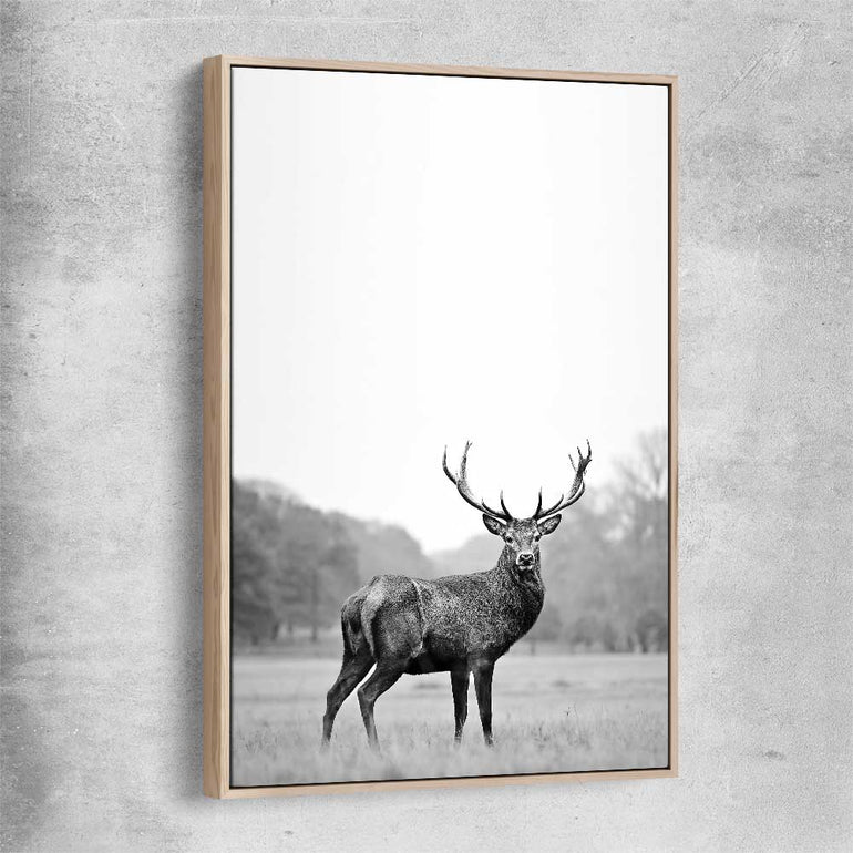 Animal wall art and canvas prints of Roaming Deer with raw oak framed canvas
