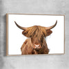 Animal wall art and canvas prints of Rustic Highland Cow with raw oak framed canvas