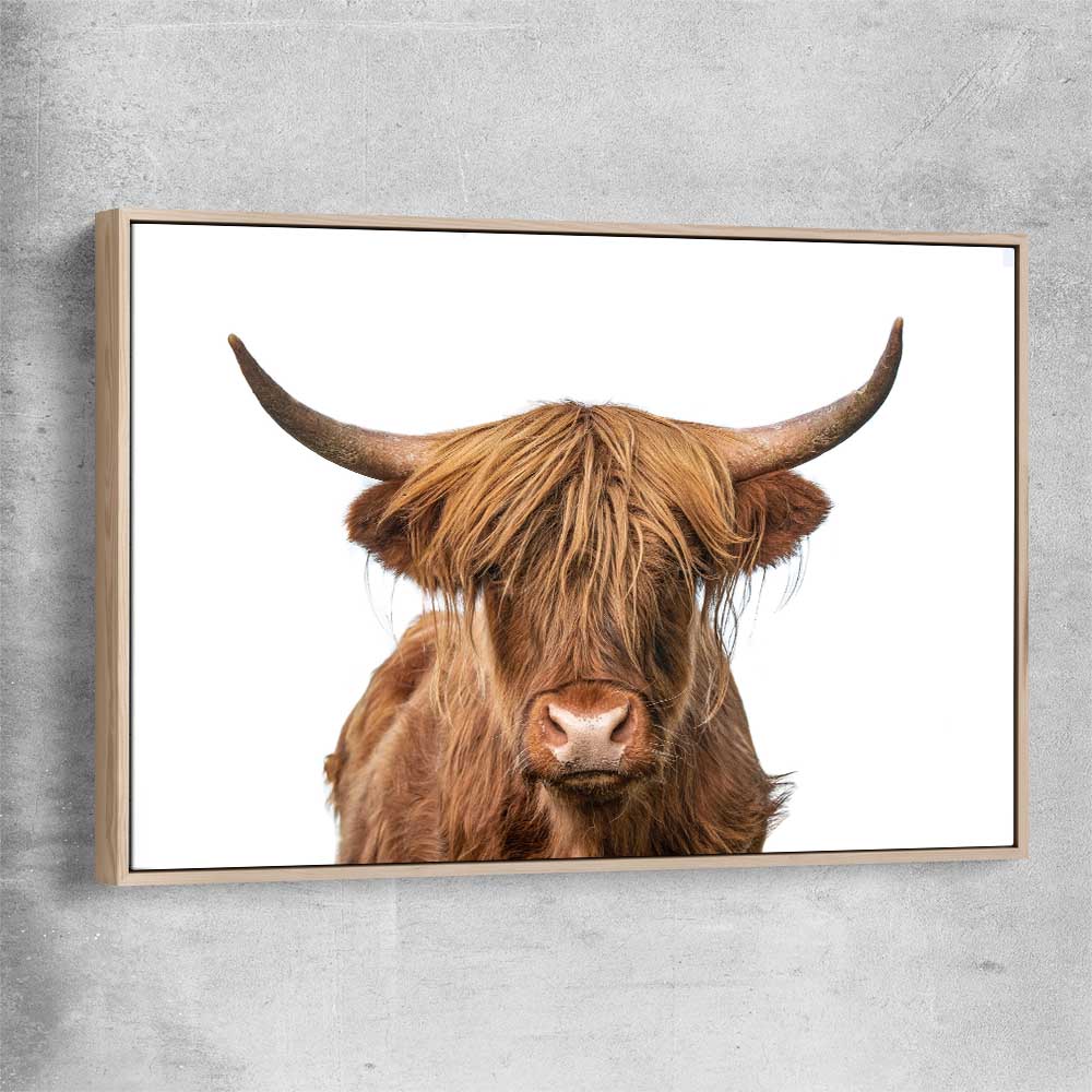 Animal wall art and canvas prints of Rustic Highland Cow with raw oak framed canvas