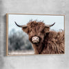 Animal wall art and canvas prints of Scottish Highland with raw oak framed canvas
