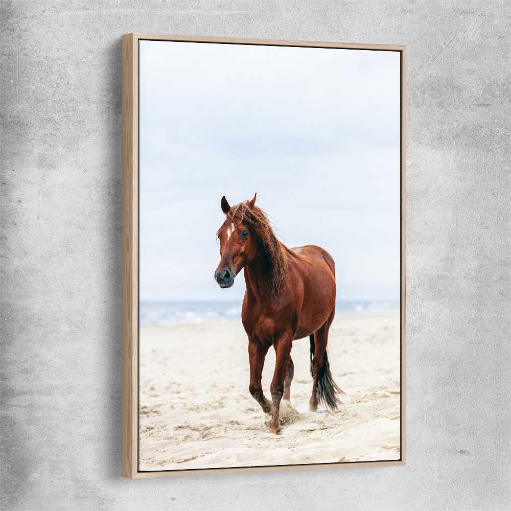 Animal wall art and canvas prints of Sea Breeze Horse with raw oak framed canvas