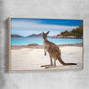 Animal wall art and canvas prints of Shoreline Kangaroo with raw oak framed canvas