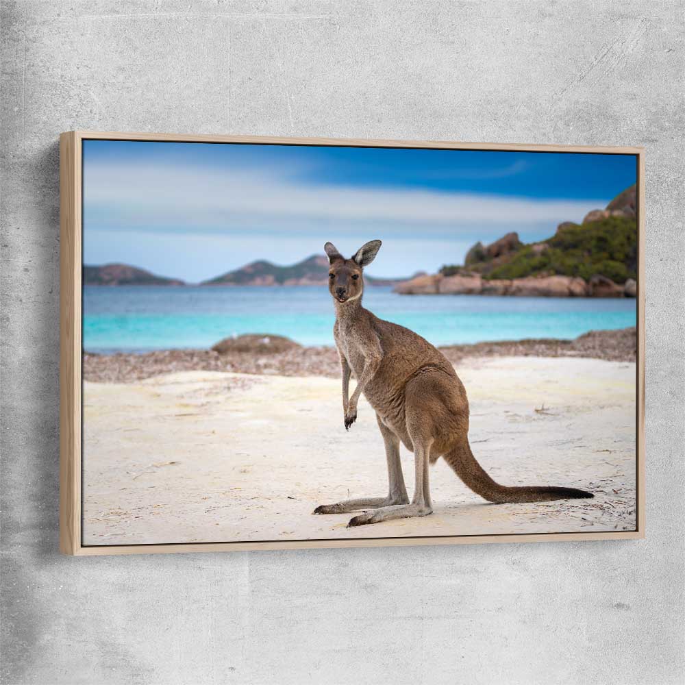 Animal wall art and canvas prints of Shoreline Kangaroo with raw oak framed canvas