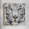 Animal wall art and canvas prints of Silent White Tiger with raw oak framed canvas
