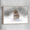 Animal wall art and canvas prints of Snow Tiger Charge with raw oak framed canvas
