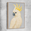 Animal wall art and canvas prints of Sulphur-crested Cockatoo with raw oak framed canvas