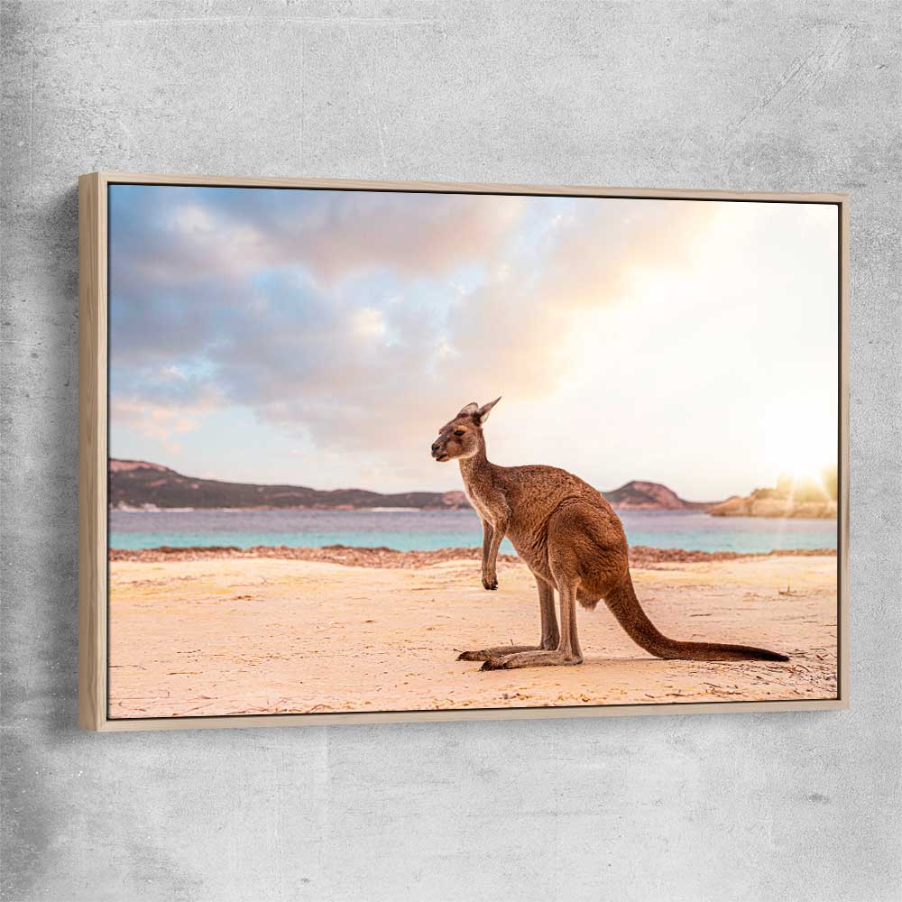 Animal wall art and canvas prints of Sunset Kangaroo Walk with raw oak framed canvas