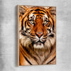 Animal wall art and canvas prints of Tiger Silent Power with raw oak framed canvas