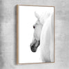Animal wall art and canvas prints of White Horse Elegance with raw oak framed canvas