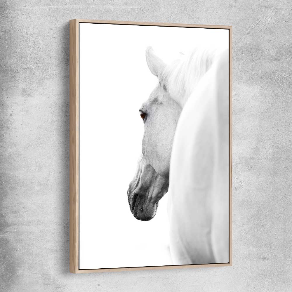 Animal wall art and canvas prints of White Horse Elegance with raw oak framed canvas