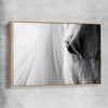 Animal wall art and canvas prints of White Horse Grace with raw oak framed canvas
