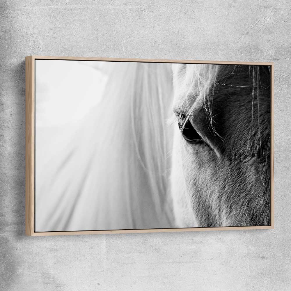 Animal wall art and canvas prints of White Horse Grace with raw oak framed canvas