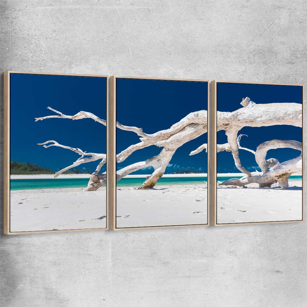 Beach and coastal wall art print of Whitsundays Driftwood Set with raw oak framed canvas