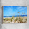 Beach and coastal wall art print of Algarve Dune Flora with raw oak framed canvas