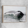 Beach and coastal wall art print of Humpback Whale with raw oak framed canvas