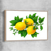 Lemon Botanical raw oak framed canvas is a colourful and stylish canvas wall art and print suited for the kitchen area