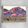 Floral print of Namib Rand Desert with raw oak framed canvas