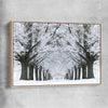 Floral print of Winter Tree Avenue with raw oak framed canvas