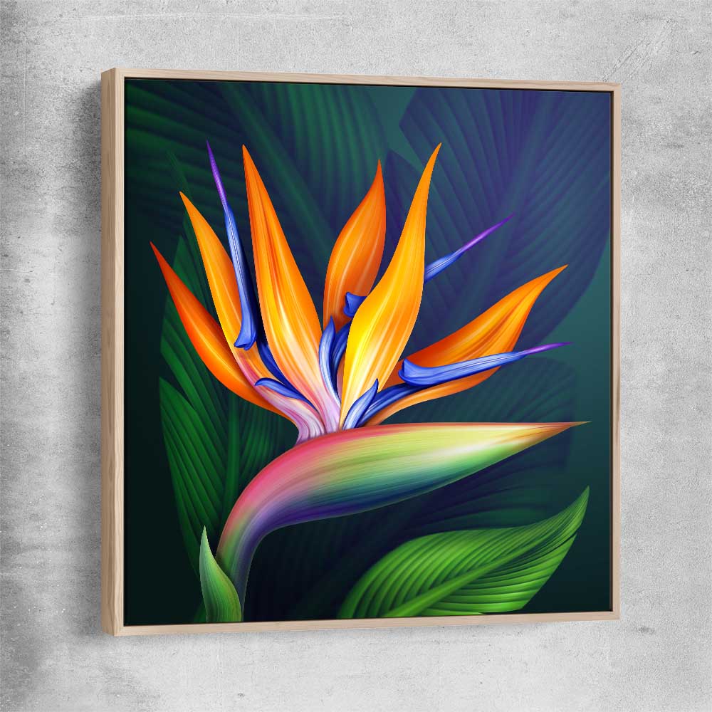 Floral print of Bird of Paradise Illustration with raw oak framed canvas