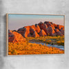 Floral print of Bungle Bungles with raw oak framed canvas
