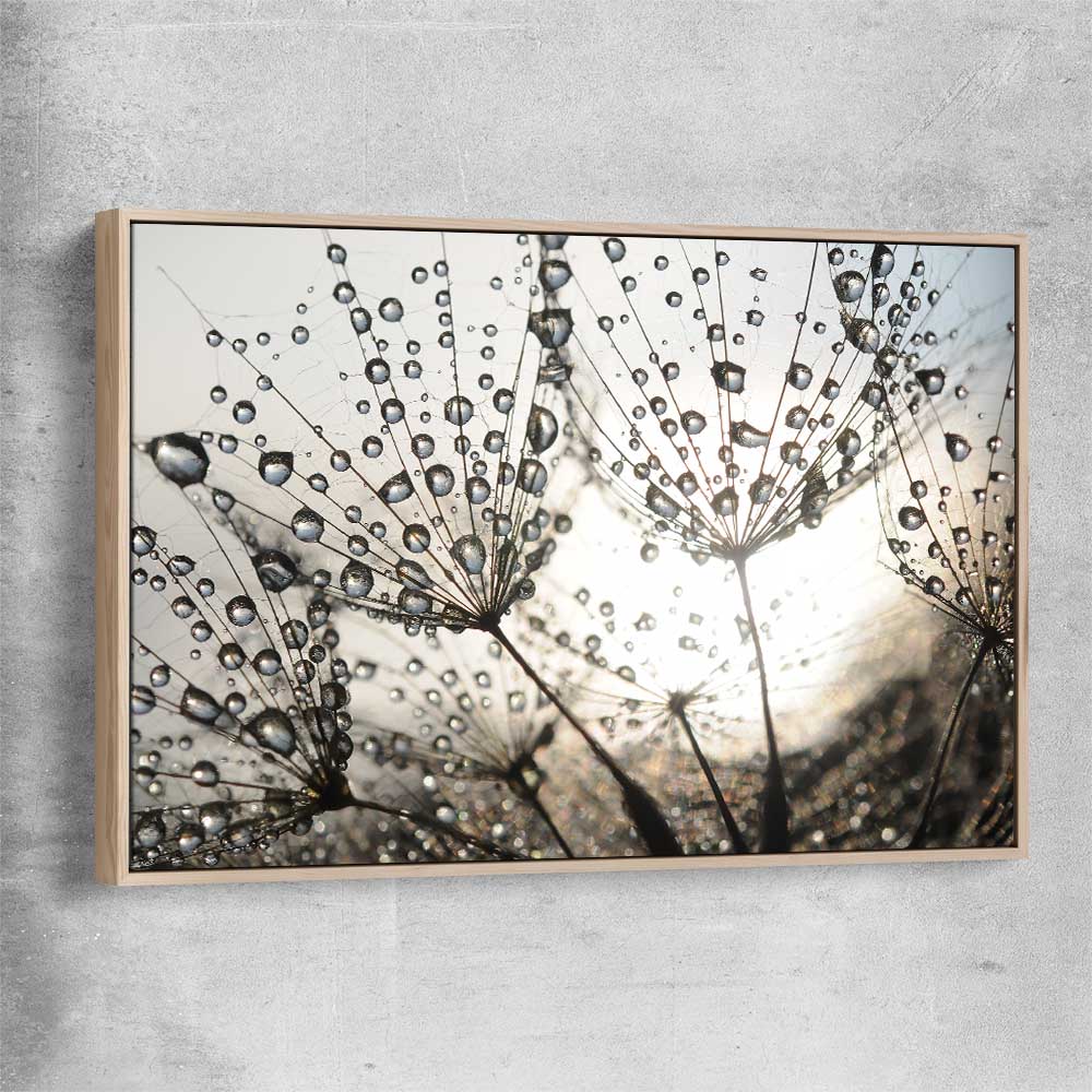 Floral print of Dandelion Seed Sunrise with raw oak framed canvas