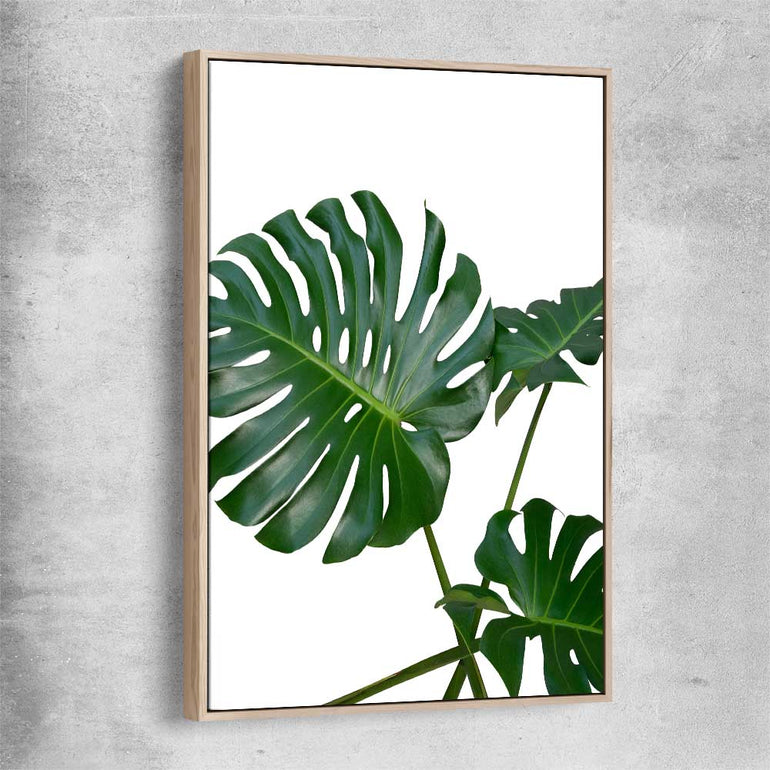 Floral print of Monstera Leaf Two with raw oak framed canvas