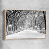 Floral print of Snowy Central Park with raw oak framed canvas