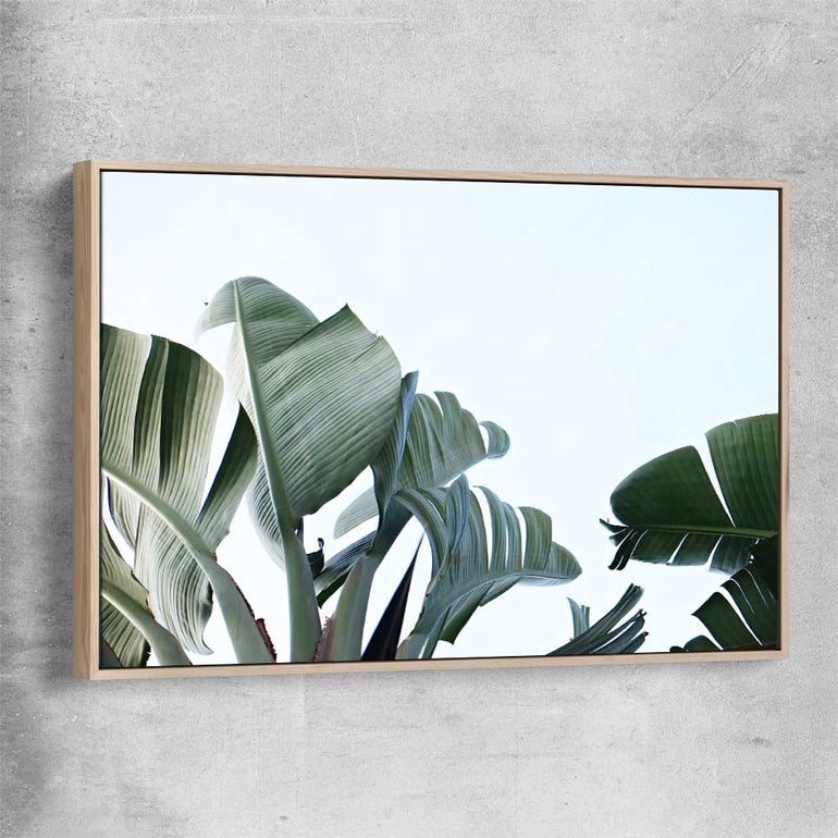 Floral print of Tropical Banana Palm with raw oak framed canvas