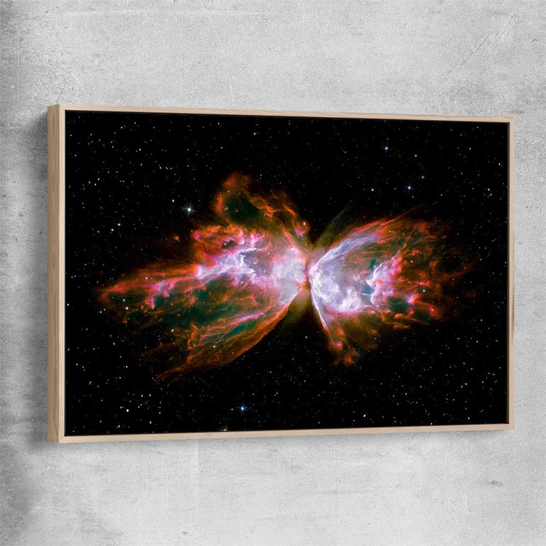 Space prints and wall art of Butterfly Nebula with raw oak framed canvas
