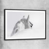 Animal wall art and canvas prints of Andalusian Horse with black glass front frame