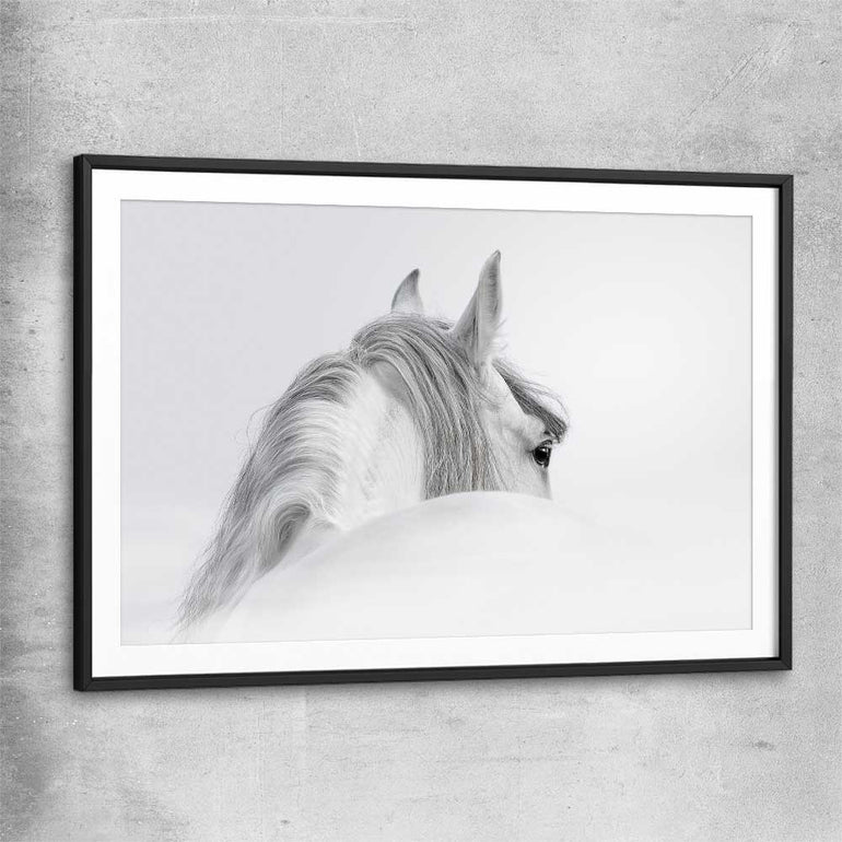 Animal wall art and canvas prints of Andalusian Horse with black glass front frame