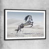 Animal wall art and canvas prints of Free Spirit Horse with black glass front frame