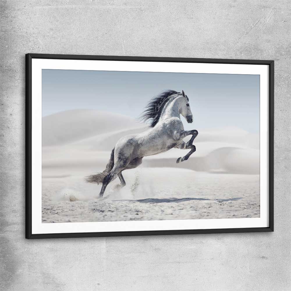 Animal wall art and canvas prints of Free Spirit Horse with black glass front frame