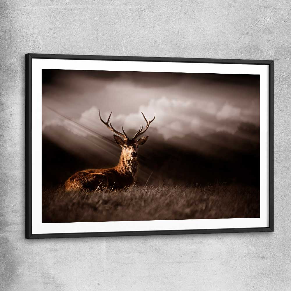 Animal wall art and canvas prints of Glowing Deer with black glass front frame