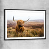 Animal wall art and canvas prints of Highland Horizon with black glass front frame
