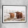 Animal wall art and canvas prints of Highland Pack with black glass front frame