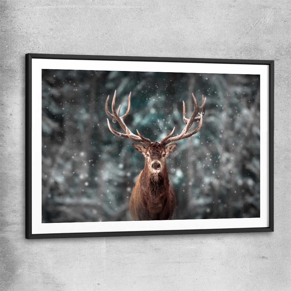 Animal wall art and canvas prints of Highland Stag Portrait with black glass front frame