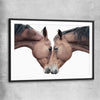 Animal wall art and canvas prints of Horse Affection with black glass front frame