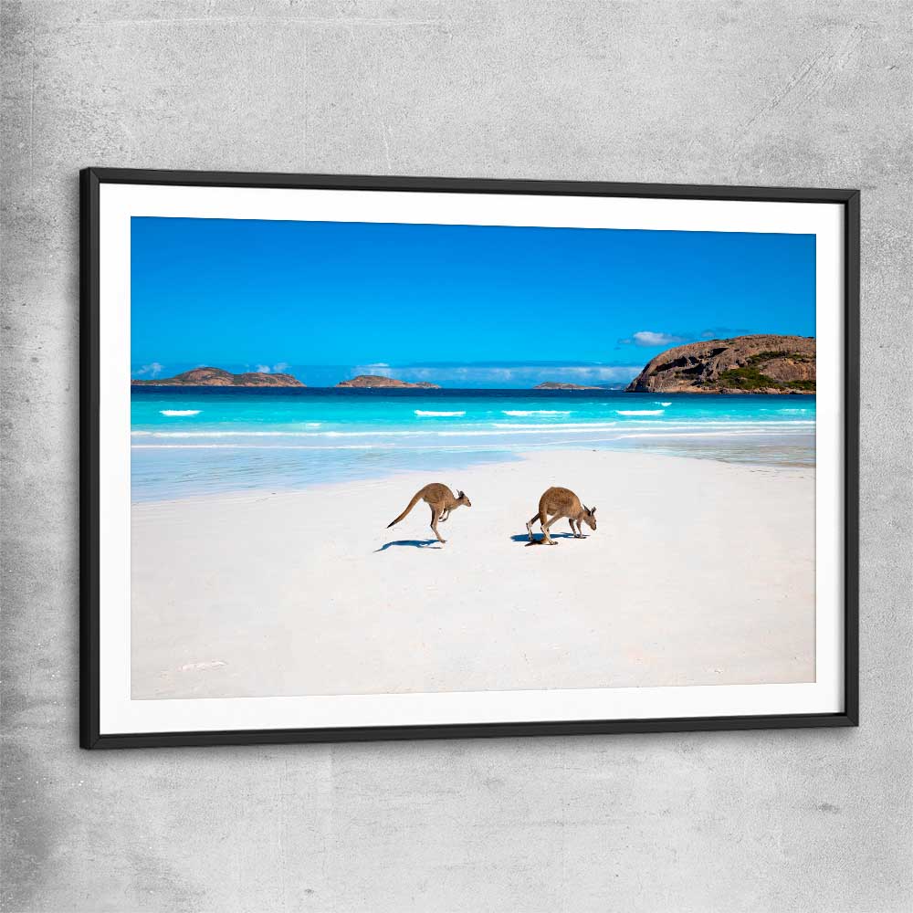 Animal wall art and canvas prints of Kangaroo Beach Couple with black glass front frame