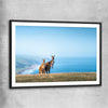 Animal wall art and canvas prints of Kangaroo Coastal Vista with black glass front frame