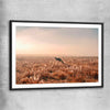 Animal wall art and canvas prints of Kangaroo Desert Horizon with black glass front frame
