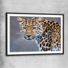 Animal wall art and canvas prints of Leopard Silent Watch with black glass front frame