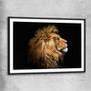 Animal wall art and canvas prints of Lion Mentality with black glass front frame