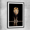 Animal wall art and canvas prints of Majestic Lion Portrait with black glass front frame