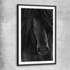 Animal wall art and canvas prints of Midnight Friesian Horse with black glass front frame